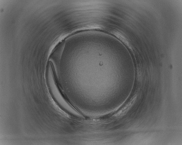 X0000073730797200608171227