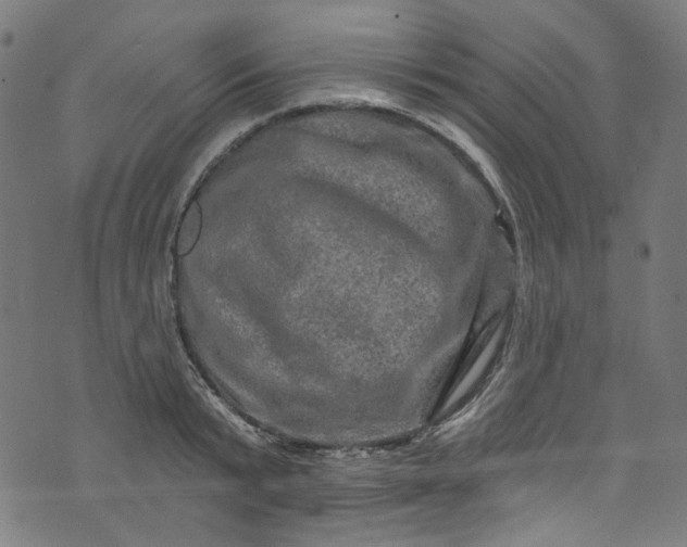 X0000073730799200608171227