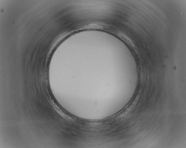 X0000073730800200608171227