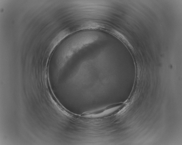 X0000073730802200608171227