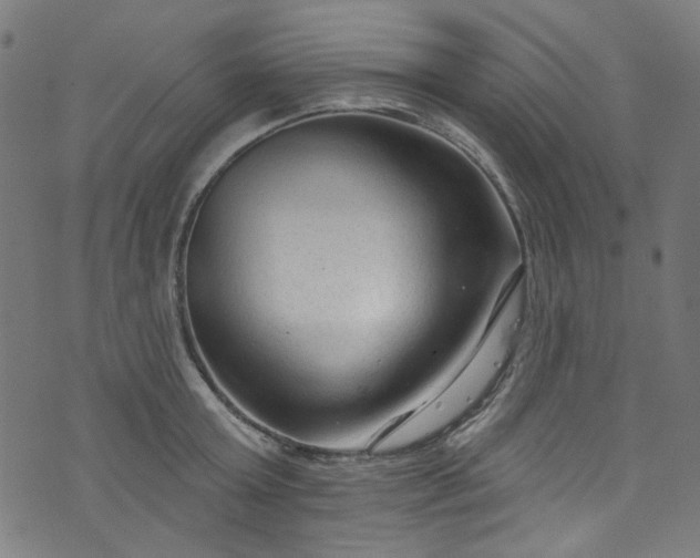 X0000073730803200608171227