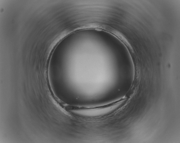 X0000073730805200608171227