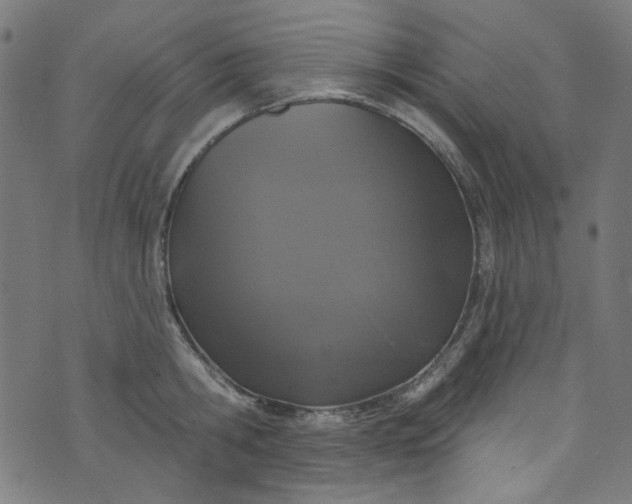 X0000073730806200608171227