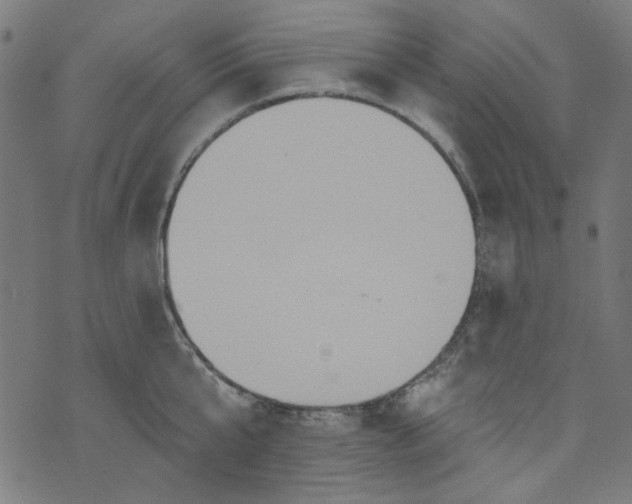 X0000073730807200608171227