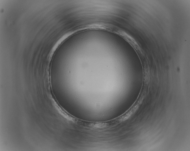 X0000073730808200608171227