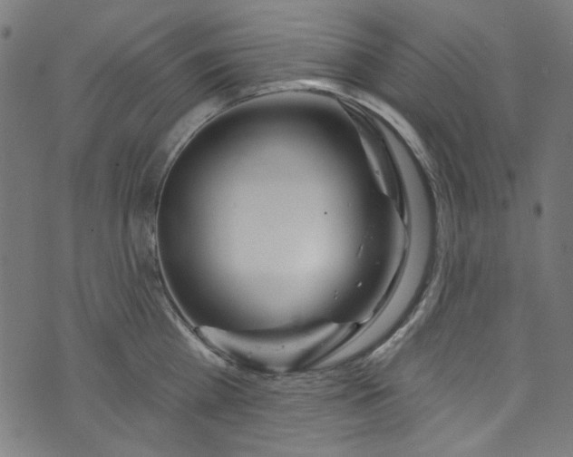 X0000073730809200608171227