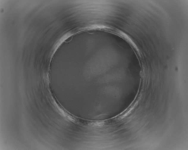 X0000073730810200608171227