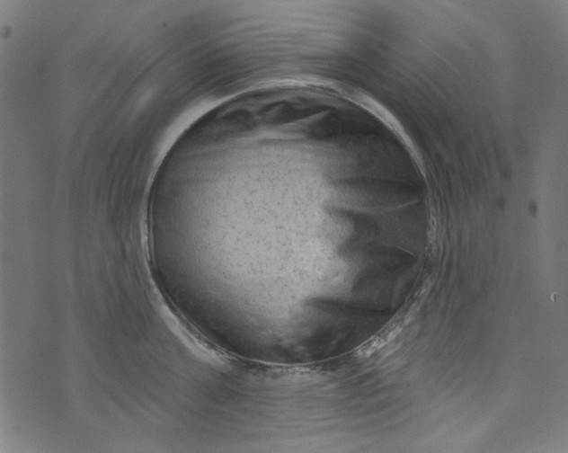 X0000073730811200608171227