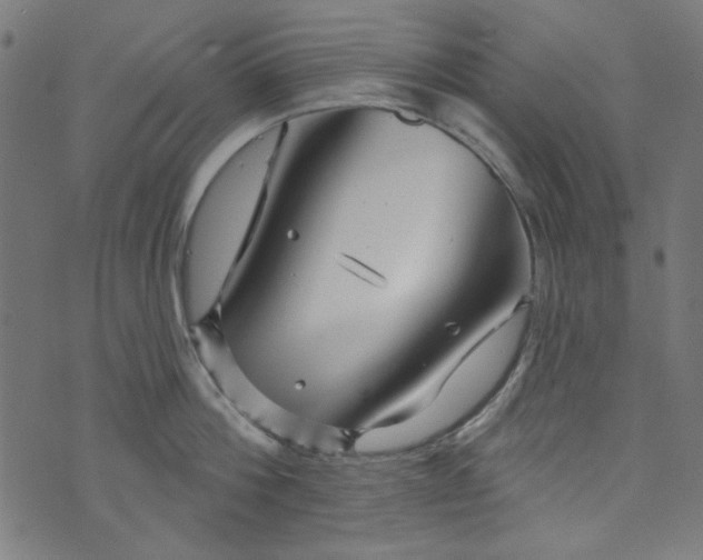 X0000073730812200608171227