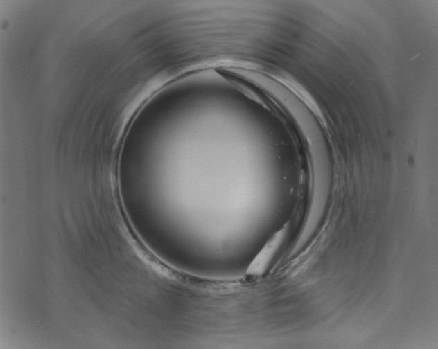 X0000073730813200608171227