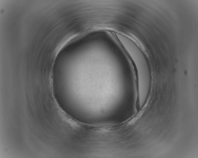 X0000073730814200608171227