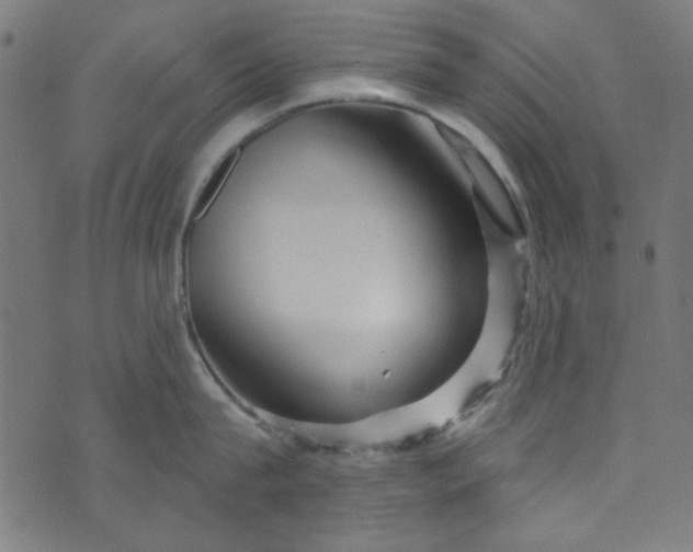 X0000073730815200608171227