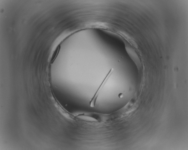 X0000073730816200608171227