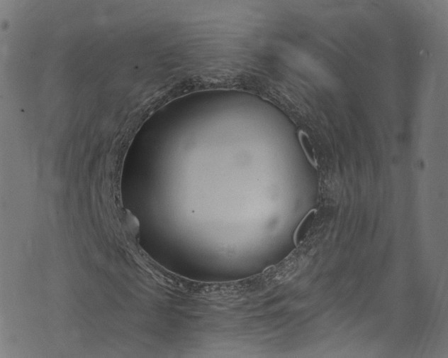 X0000073730817200608171226