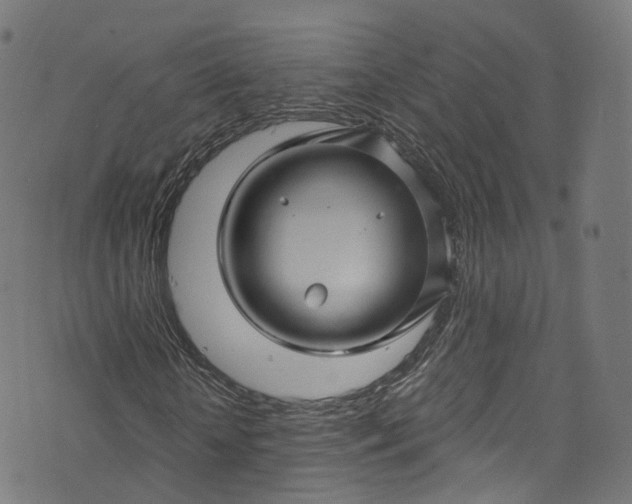 X0000073730818200608171226