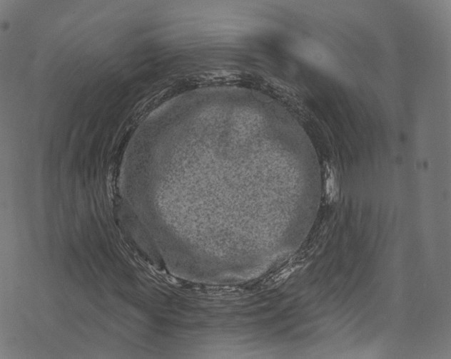 X0000073730819200608171226