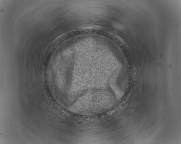 X0000073730821200608171226