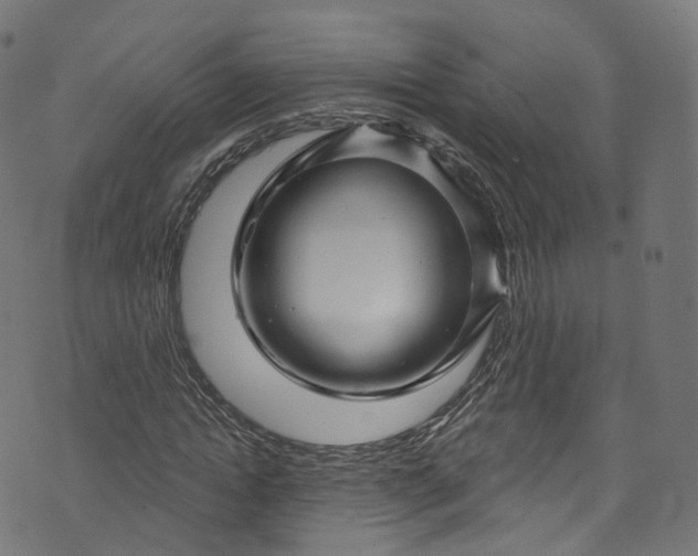 X0000073730822200608171226