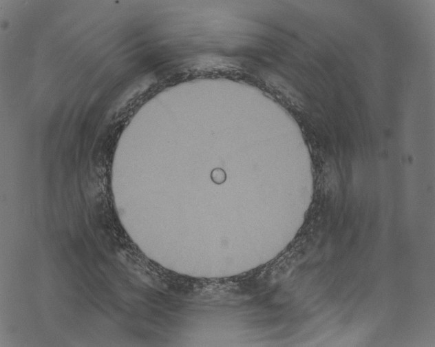 X0000073730824200608171226