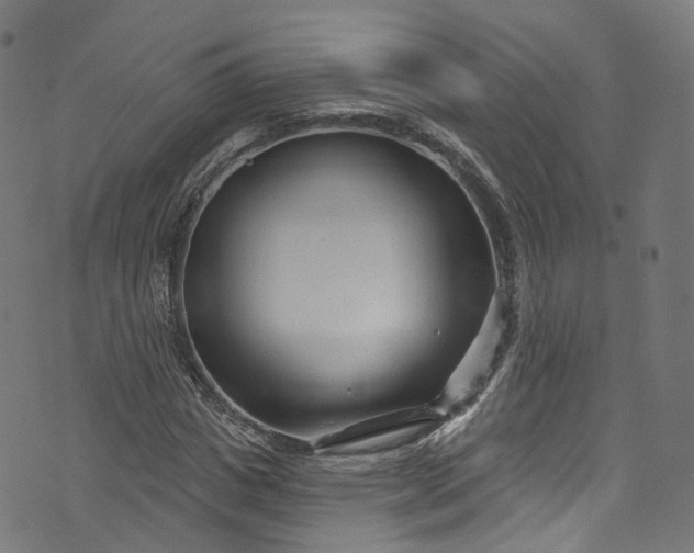 X0000073730825200608171226