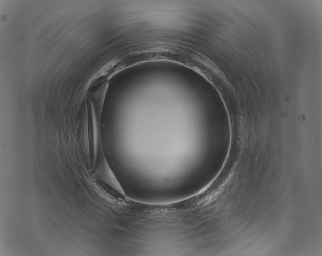 X0000073730826200608171226