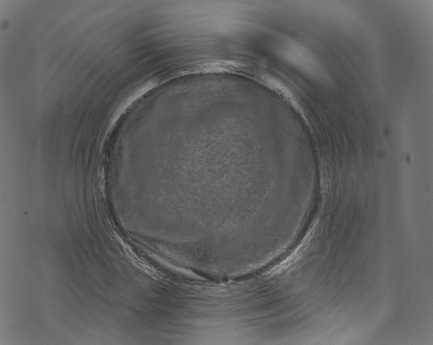 X0000073730827200608171226