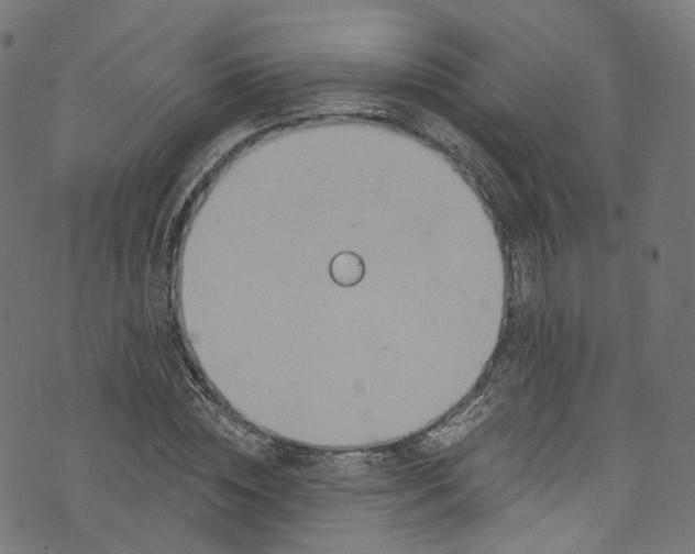 X0000073730828200608171226