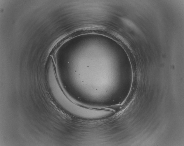 X0000073730829200608171226