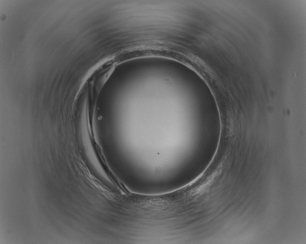 X0000073730830200608171226