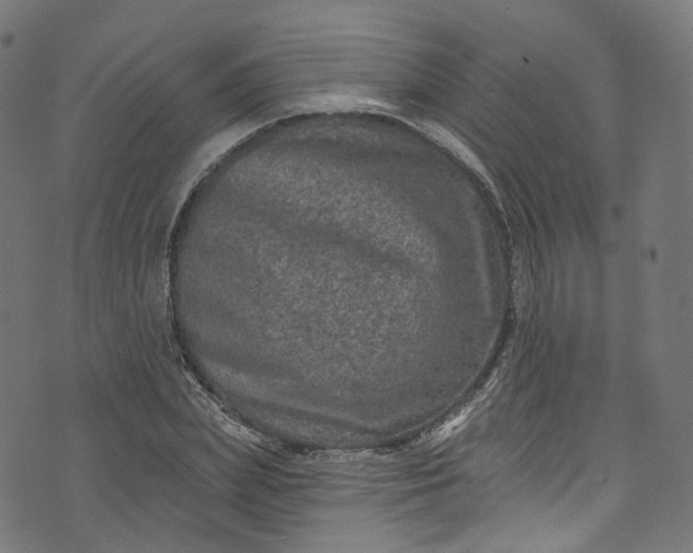 X0000073730831200608171226