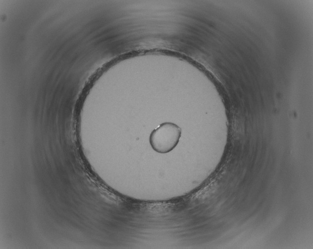 X0000073730832200608171226