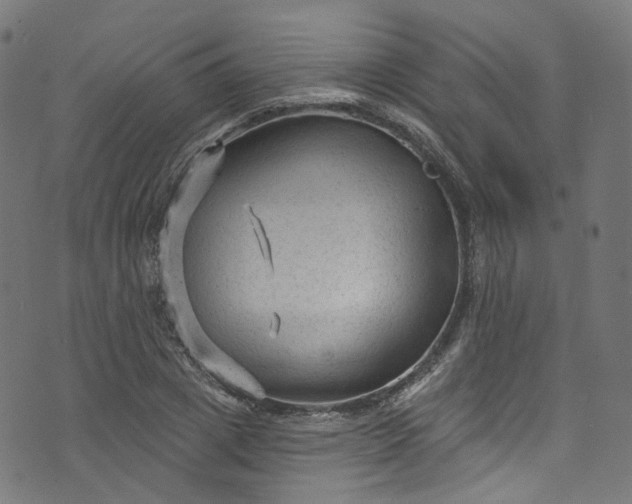 X0000073730833200608171226