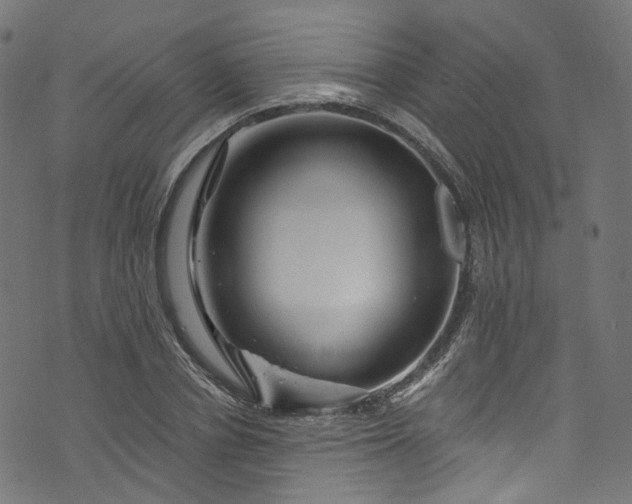 X0000073730834200608171226