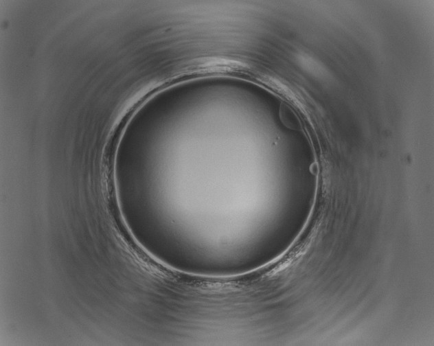 X0000073730835200608171226