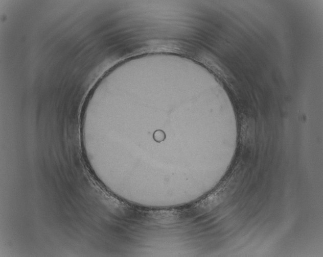 X0000073730836200608171227