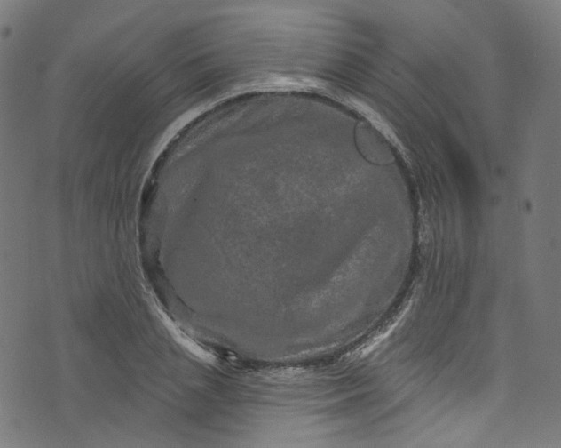 X0000073730837200608171227