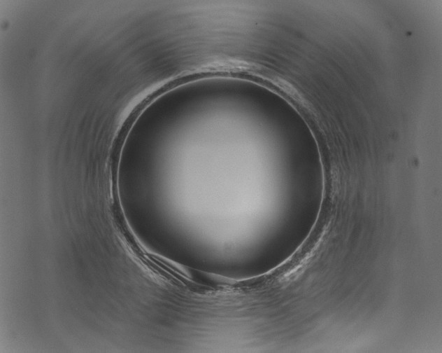 X0000073730838200608171227