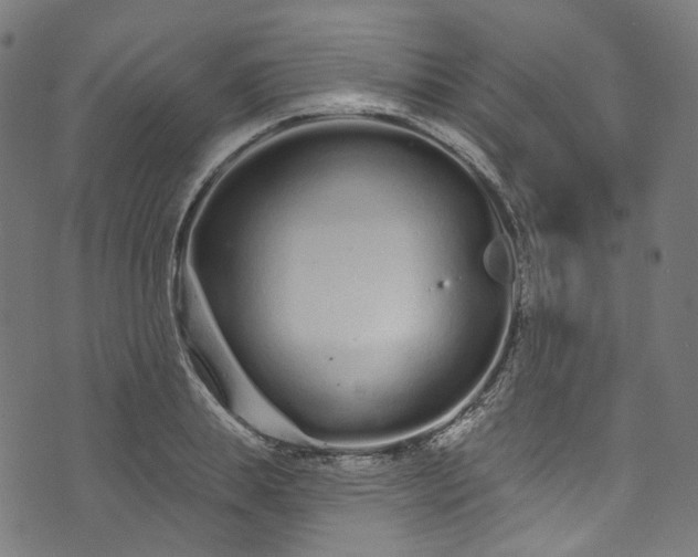 X0000073730839200608171227