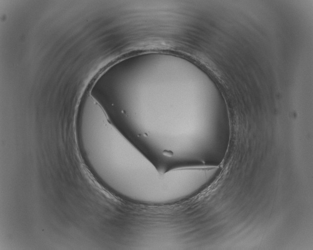 X0000073730840200608171227