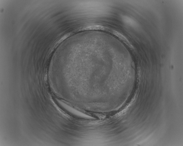 X0000073730841200608171227