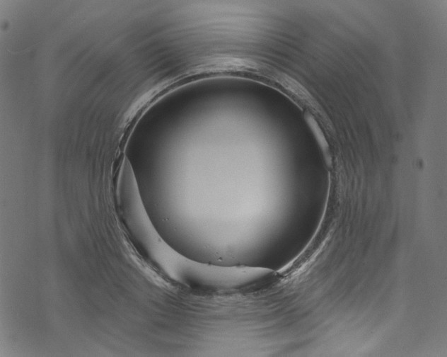 X0000073730842200608171227