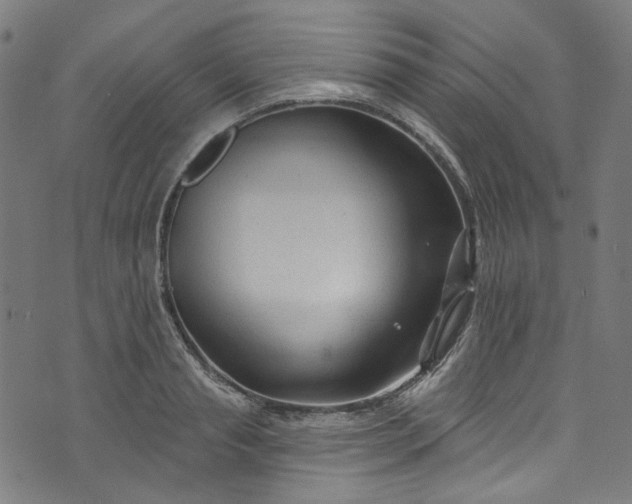 X0000073730845200608171227