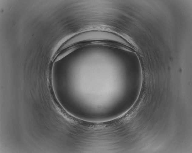 X0000073730846200608171227