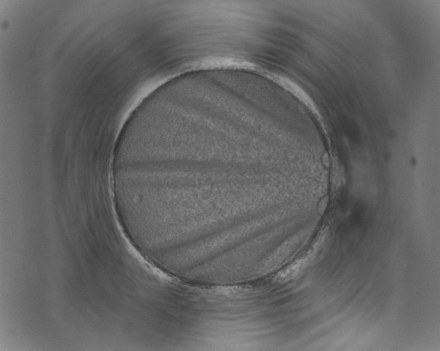 X0000073730847200608171227