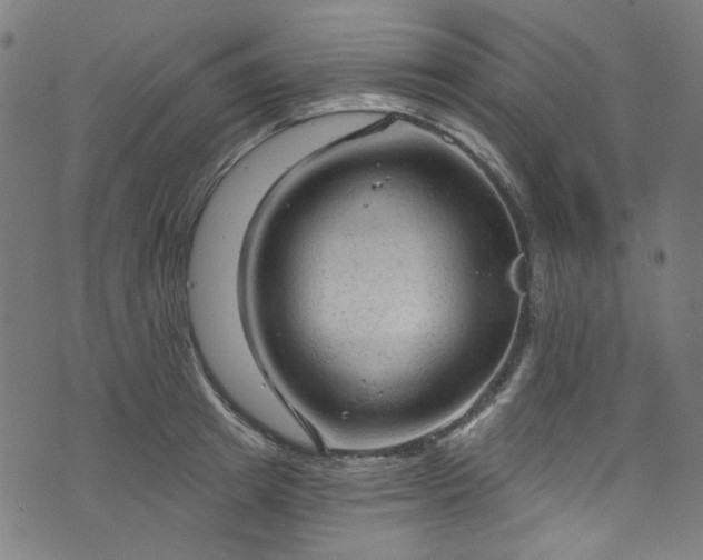 X0000073730849200608171227