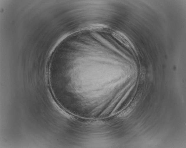 X0000073730851200608171227