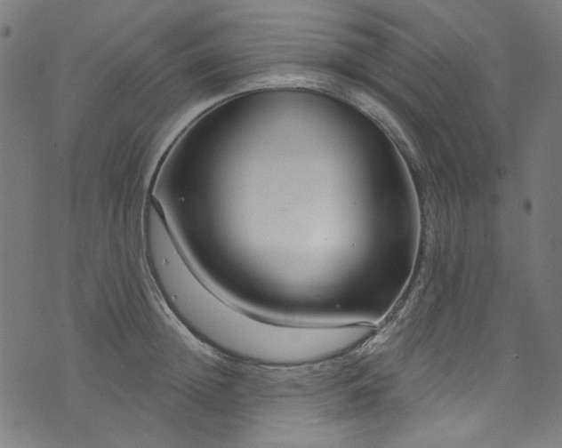 X0000073730852200608171227