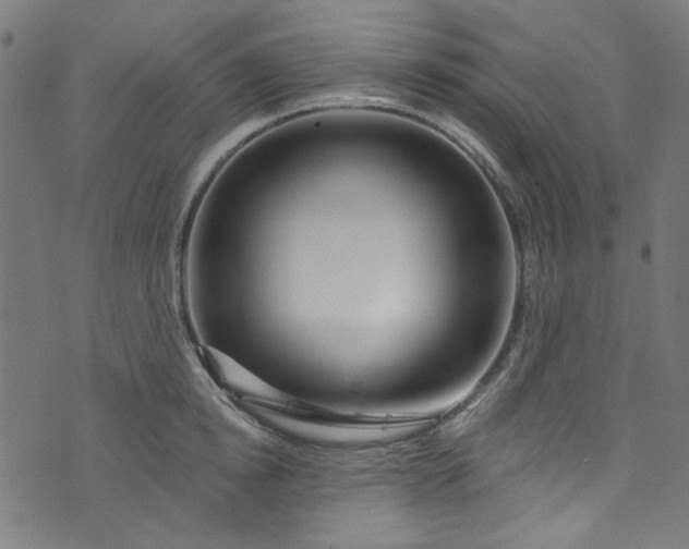 X0000073730854200608171227