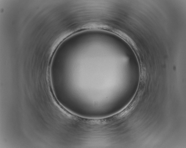 X0000073730855200608171227