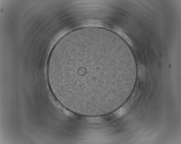 X0000073730856200608171227